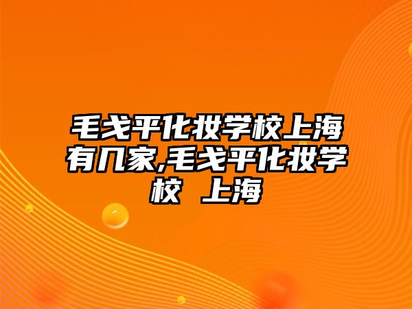 毛戈平化妝學(xué)校上海有幾家,毛戈平化妝學(xué)校 上海