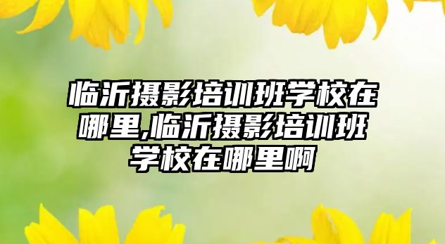 臨沂攝影培訓班學(xué)校在哪裏,臨沂攝影培訓班學(xué)校在哪裏啊