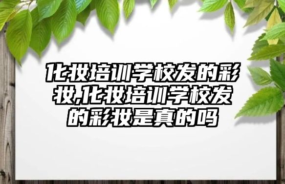 化妝培訓學(xué)校發的彩妝,化妝培訓學(xué)校發的彩妝是真的嗎