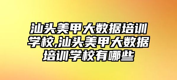 汕頭美甲大數據培訓學(xué)校,汕頭美甲大數據培訓學(xué)校有哪些